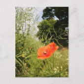 Postkarte "Poppy" (Vorderseite)