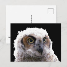 Postkarte - Portrait der Jungschale
