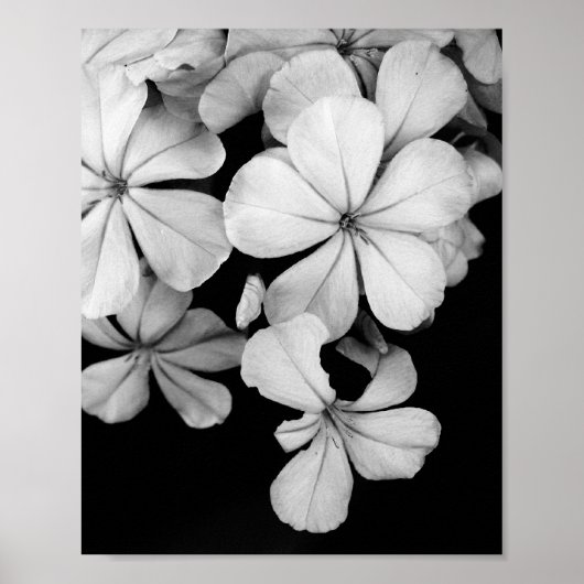 Postkarte Poster (Vorne)
