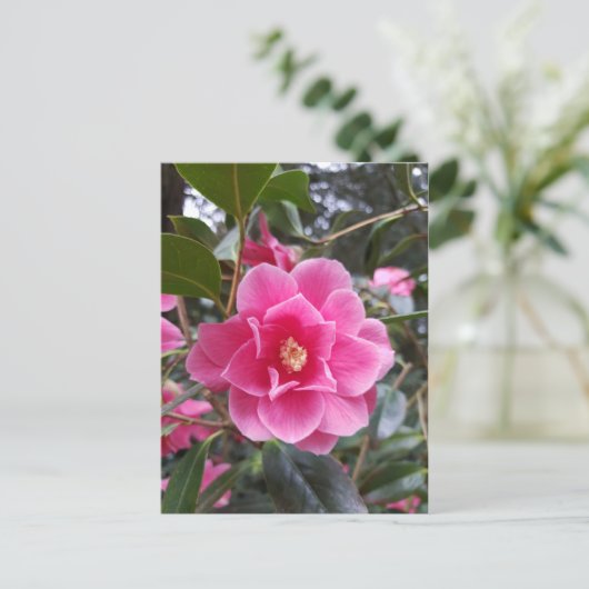 Postkarte: Postkarte (Stehend Vorderseite)