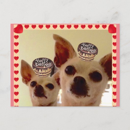 POSTKARTE- POSTKARTE (Vorderseite)