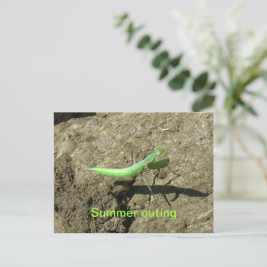 Postkarte - Prachtmantis (Stehend Vorderseite)