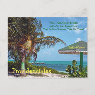 Postkarte, PROVIDENCIALEN/PALMBAUM & UMBRELLA/TÜRK Postkarte