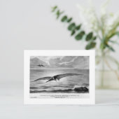 Postkarte Pteranodon (Stehend Vorderseite)