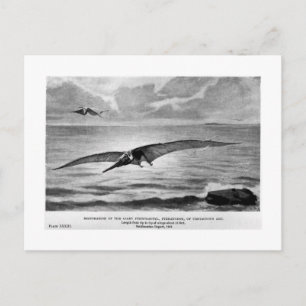 Postkarte Pteranodon