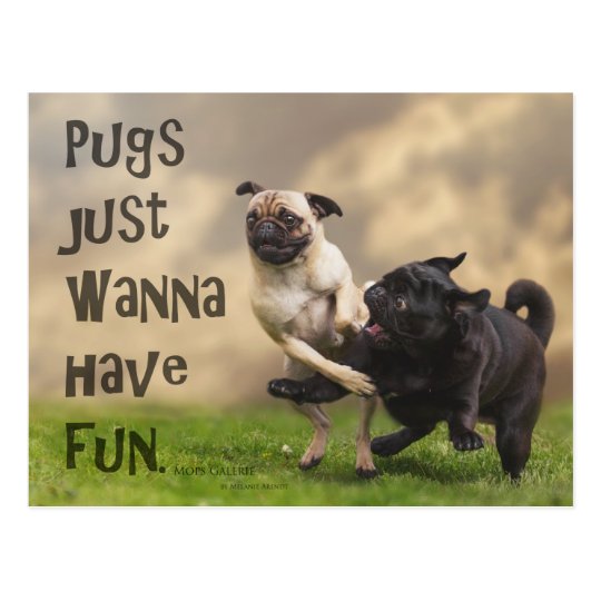 Postkarte "Pugs just wanna have fun"