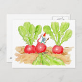 Postkarte Radish Garden Gnome (Vorne/Hinten)