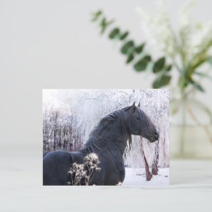 Postkarte "Raphael & Snowy Trees"