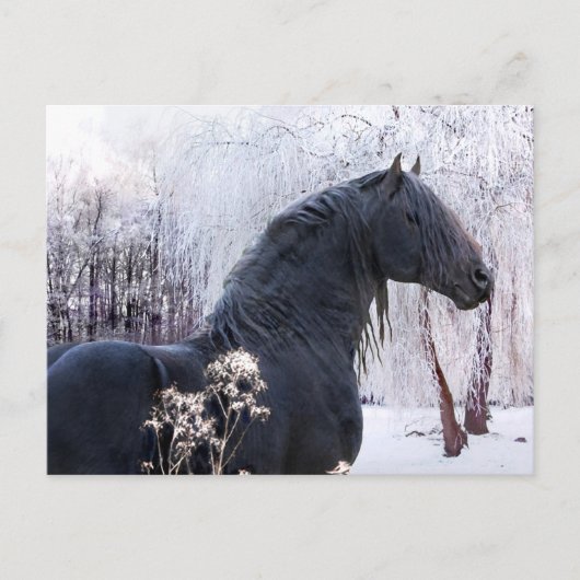 Postkarte "Raphael & Snowy Trees" (Vorderseite)