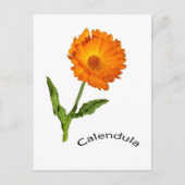 Postkarte - Ringelblume (Vorderseite)