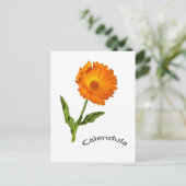 Postkarte - Ringelblume (Stehend Vorderseite)