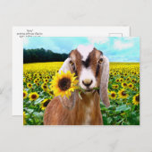 Postkarte "Rory" (Vorne/Hinten)