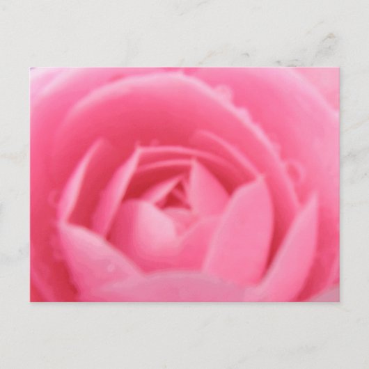 Postkarte Rosa Kamelien (Vorderseite)