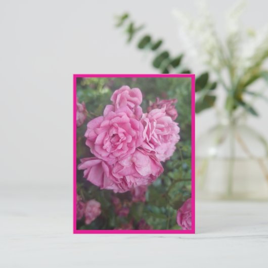 Postkarte rosa Rose (Stehend Vorderseite)