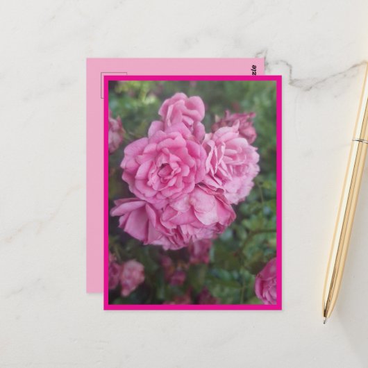 Postkarte rosa Rose (Vorderseite/Rückseite Beispiel)
