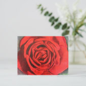 Postkarte - Rose (Stehend Vorderseite)