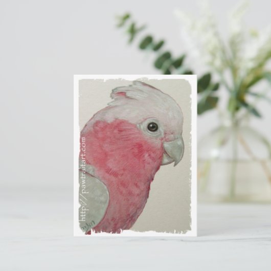 Postkarte - Rose Brustkakadu (Stehend Vorderseite)