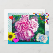 Postkarte Rose und mehr (Vorne/Hinten)