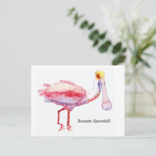 Postkarte Roseate Spoonbill (Stehend Vorderseite)