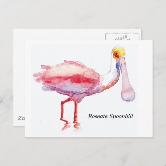 Postkarte Roseate Spoonbill (Vorne/Hinten)