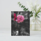Postkarte - Rosentöne der Hingabe (Stehend Vorderseite)
