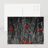Postkarte - Rote Einsamkeit Mohn (Vorne/Hinten)