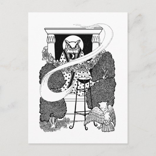 Postkarte "Sacred White Owl" (Vorderseite)