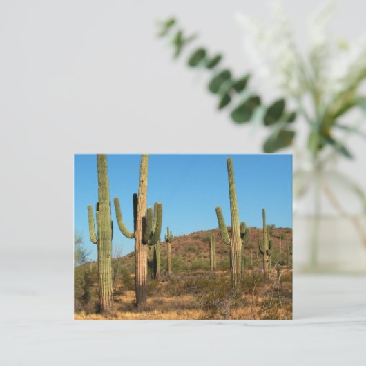 Postkarte Saguaro (Stehend Vorderseite)