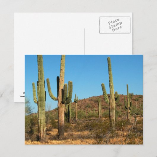 Postkarte Saguaro (Vorne/Hinten)