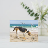 Postkarte "Sally & The Crab" (Stehend Vorderseite)