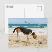 Postkarte "Sally & The Crab" (Vorne/Hinten)