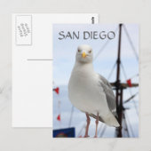 Postkarte San Diego, Seagull und Boot (Vorne/Hinten)