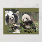Postkarte San Diego Zoo (Vorderseite)