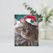 Postkarte "Santa Cat geweckt" (Stehend Vorderseite)