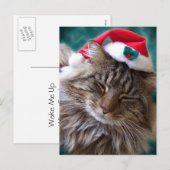 Postkarte "Santa Cat geweckt" (Vorne/Hinten)