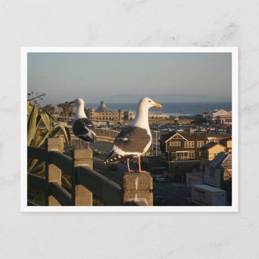 Postkarte Santa Monica (Vorderseite)