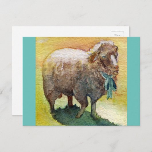 Postkarte Schafe (Vorne/Hinten)