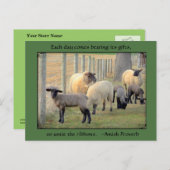 Postkarte Schafe, Amish Sprichwort. Text hinzufüge (Vorne/Hinten)