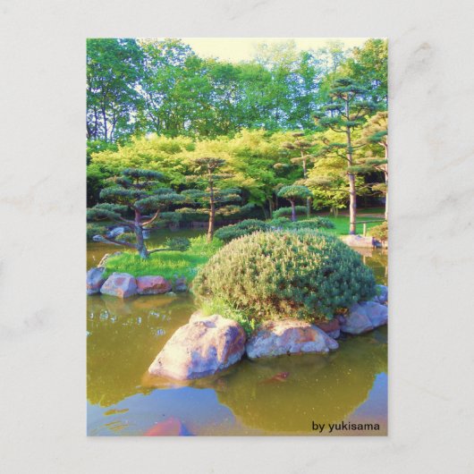 Postkarte - Schildkröten Insel (Vorderseite)