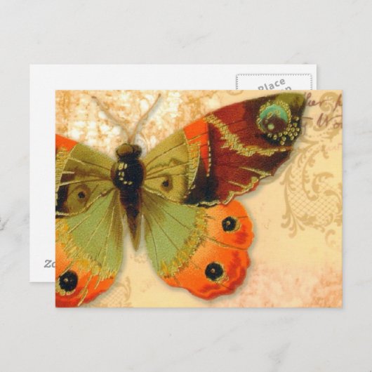 Postkarte "Schmetterling" (Vorne/Hinten)