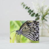 Postkarte/Schmetterling mit Papier Postkarte (Stehend Vorderseite)
