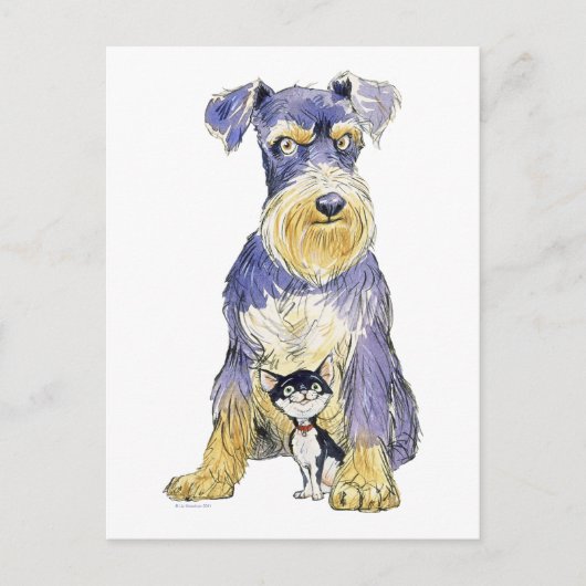 Postkarte Schnauzer & Kitten (Vorderseite)