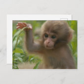 Postkarte - Schneefelder (Vorne/Hinten)