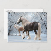 Postkarte "SchneeSinti und Roma" (Vorne/Hinten)