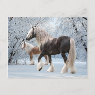 Postkarte "SchneeSinti und Roma"