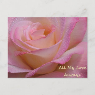 Postkarte Schöne rosa Rose, alle meine Liebe immer