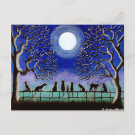 Postkarte, Schwarz, Katzen, Landschaft, Alltag, Ha Postkarte