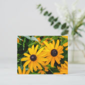 Postkarte - Schwarz-mit Augen Susan (Stehend Vorderseite)