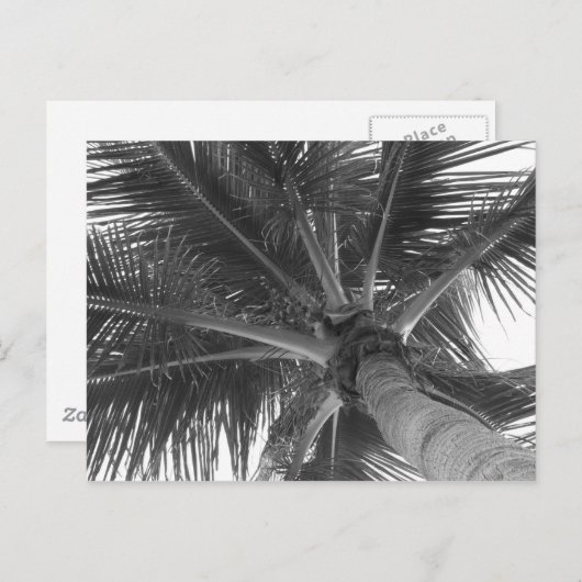 Postkarte Schwarz/Weiß (Vorne/Hinten)