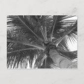 Postkarte Schwarz/Weiß (Vorderseite)